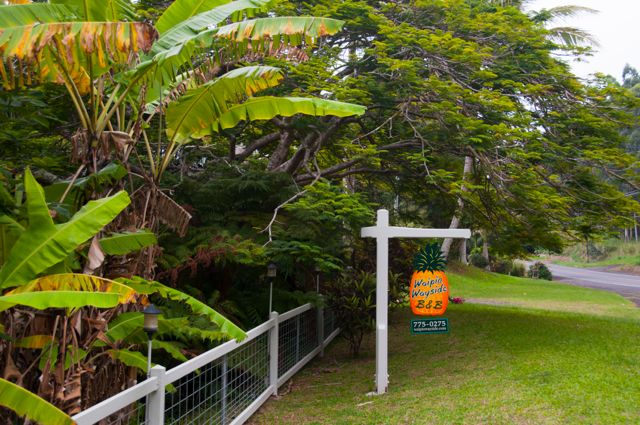 waipio_wayside_bnb027