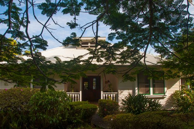 waipio_wayside_bnb052