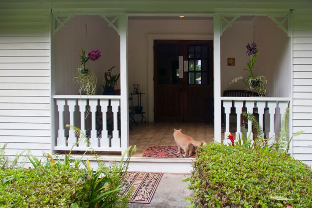 waipio_wayside_bnb024