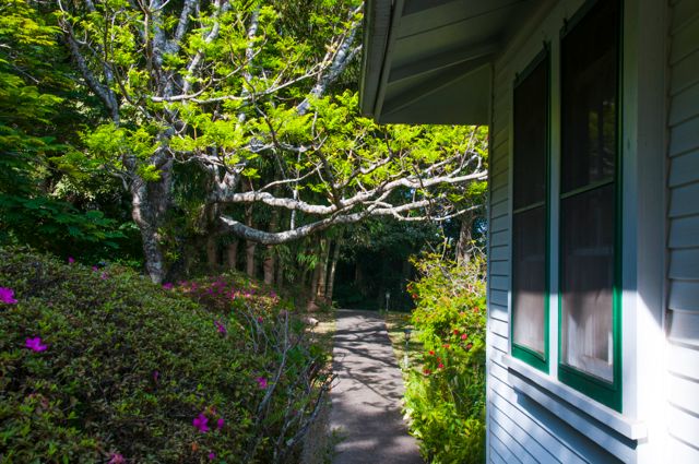 waipio_wayside_bnb045