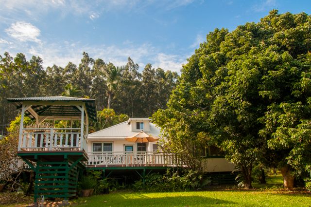 waipio_wayside_bnb058