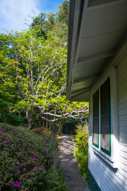 waipio_wayside_bnb046