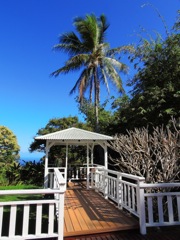 waipio_wayside_bnb136