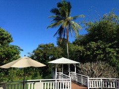 waipio_wayside_bnb165