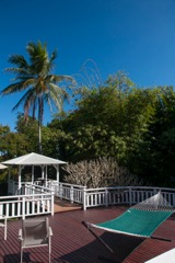 waipio_wayside_bnb083