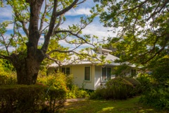 waipio_wayside_bnb070