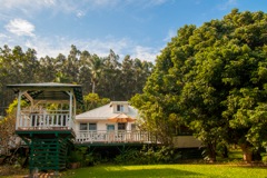 waipio_wayside_bnb058