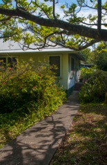 waipio_wayside_bnb073