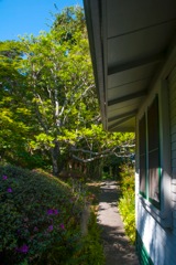 waipio_wayside_bnb084