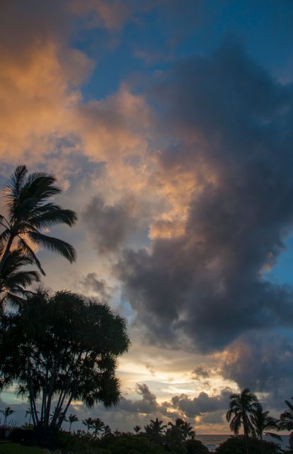 black_sand_beach_condo084