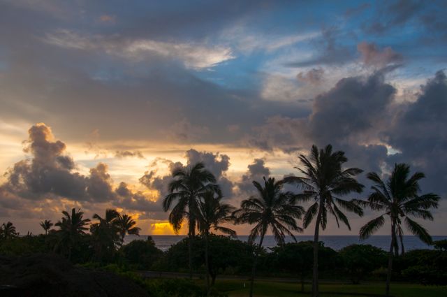 black_sand_beach_condo088