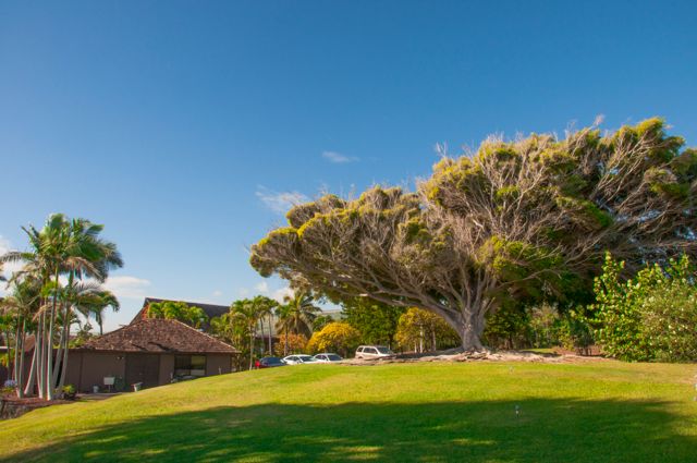 black_sand_beach_condo065