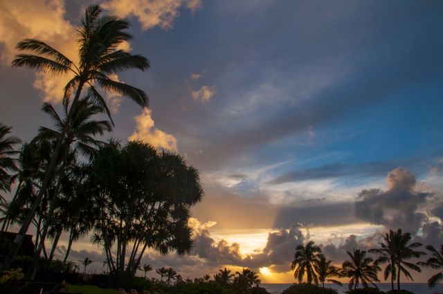 black_sand_beach_condo091