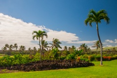 black_sand_beach_condo067