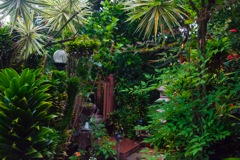 Honu Kai B&B - 55