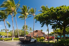 Honu Kai Vacation Rental _ Mauna Lani Beach - 01