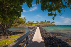 Honu Kai Vacation Rental _ Mauna Lani Beach - 22